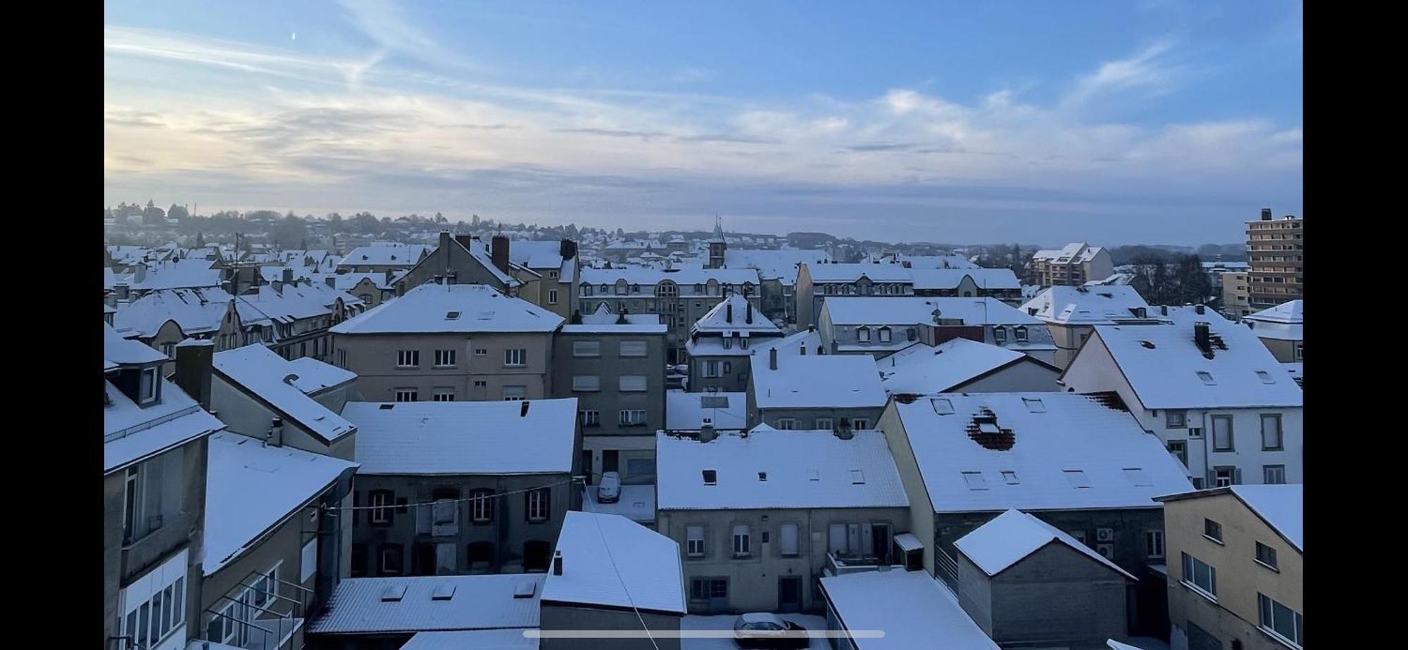 Le Perchoir - Wifi - Gare - Proche Tous Commerces Apartment Sarrebourg Ngoại thất bức ảnh